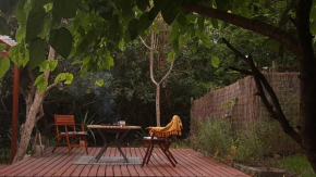 The Urban Cabin